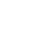 CIPPSV